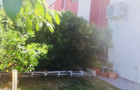 Casa Cleotti - Foto 15