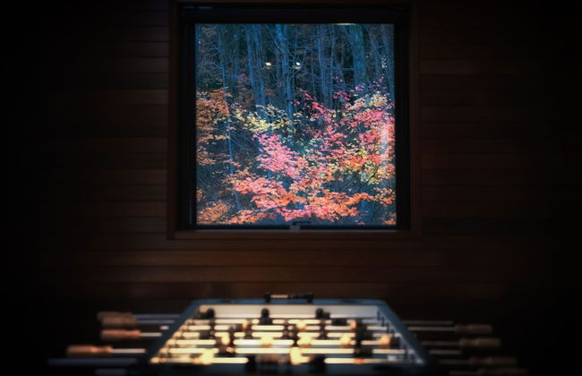 Phoenix Chalets - Foto 6