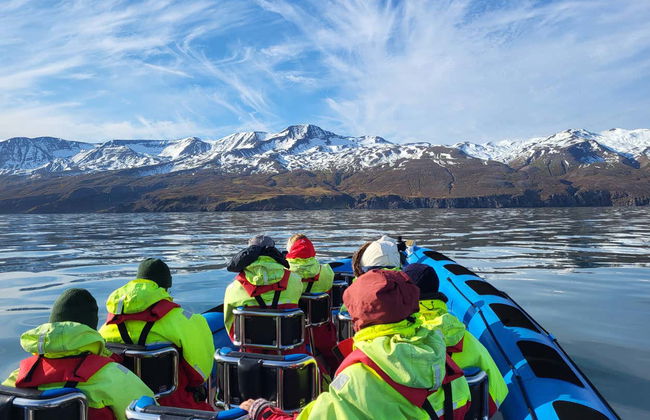 Observation des baleines et macareux en bateau à moteur - Photo 6