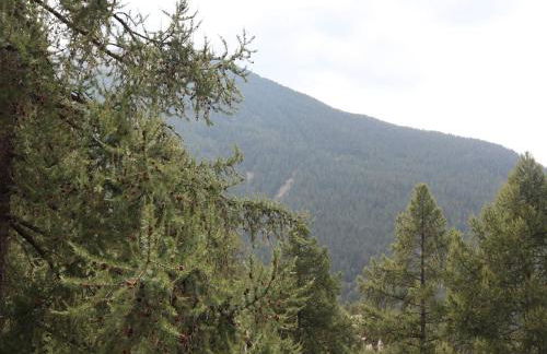 Calme Appartement 2 Pièces, 6 Personnes, Terrasse, Les Orres - FR-1-322-485 - Foto 12