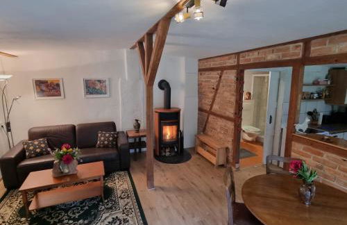 Alpakatherapie und Ferienhof Charlottenthal - Foto 1