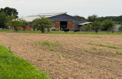 Heiderast Wipperau - Photo 36