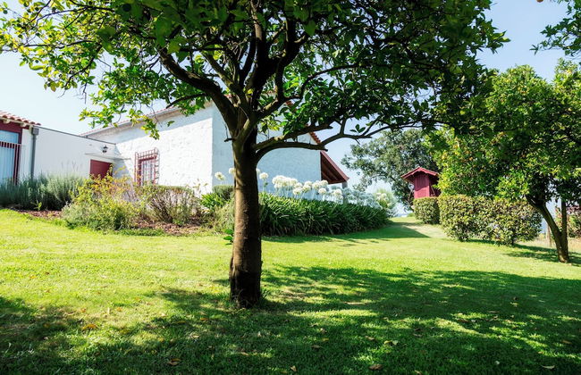 Quinta de Cartemil - Foto 29