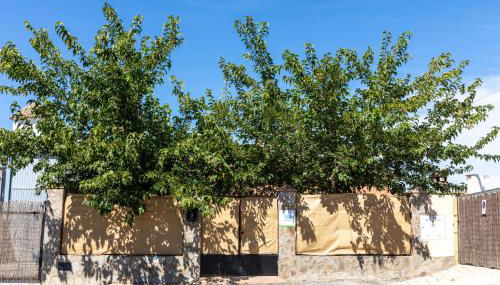 Villa Ortega Alba - Foto 3