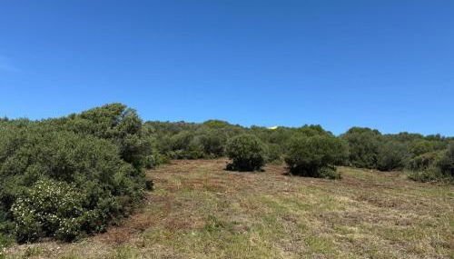 Casa Golfo Asinara,Ocean view, private pool, fully air-conditioned, secluded location - Foto 4