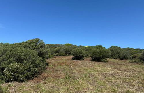 Casa Golfo Asinara,Ocean view, private pool, fully air-conditioned, secluded location - Foto 4