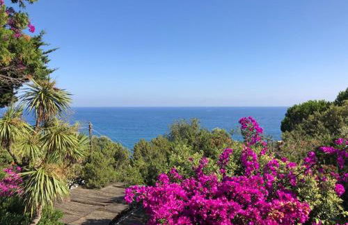 Villa Circeo, con piscina e scesa al mare - Foto 46