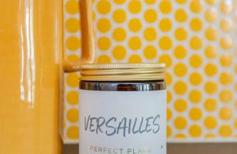 Coeur de Versailles - Vue jardin apaisante & calme - Foto 10