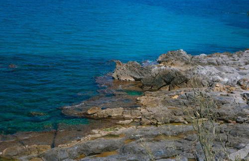 Scinniamare - Foto 28