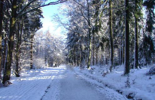 Ferienwohnung-Wiesbaden-Top3 - Foto 17