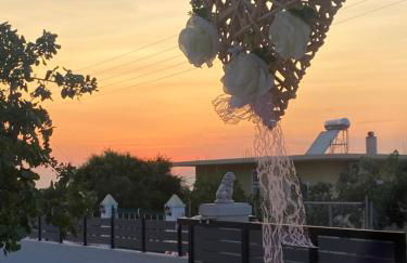 Da Vinci kavouropetra - Foto 13