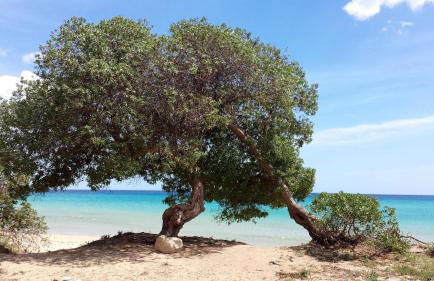 Authentic Sicilian Charm With Pool, Sea View, Parking & Wifi - Foto 108