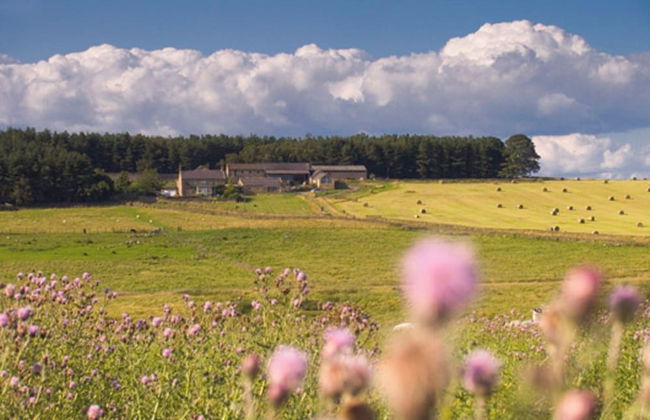 Tranquil 3 Bed - All En Suite - Cottage in Hexham - Foto 8