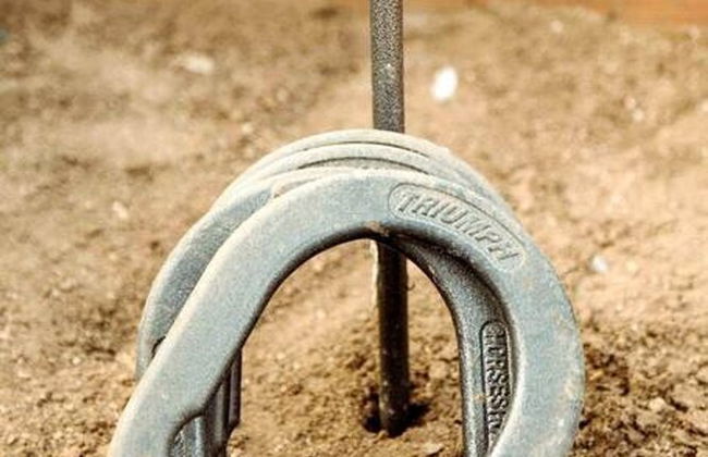 Cozy Rustic Home Minutes to Joshua Tree Nat l Park - Photo 21