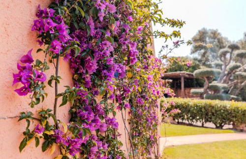 Sunset View Condo - Foto 50