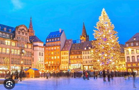 Gîte Bagatelle l'Ecrin du Ried PROCHE EUROPAPARK - Foto 31