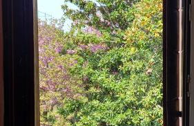 Giudecca Palanca 664 - Foto 28