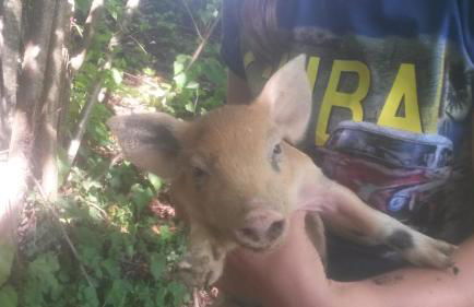 Fattoria Giunasco - Foto 132