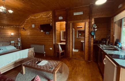 Blossom Cabin - Little log Cabin in Wales - Foto 7