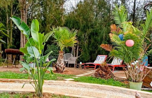 Tiny House Koala Valdareina, PISCINE CHAUFFEE, Bénagil-Carvoeiro - Foto 28