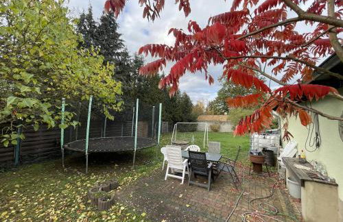 Das grüne Haus - Foto 12