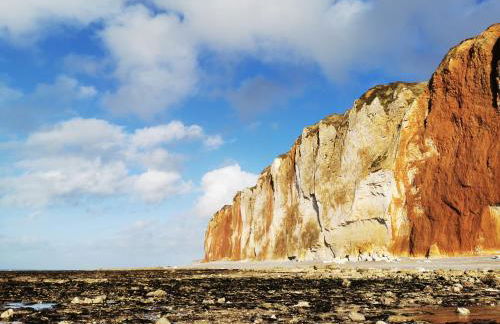 Studio vue mer L échappée normande - Foto 23