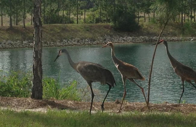 Studio 02 - Lake Sumner - Foto 14