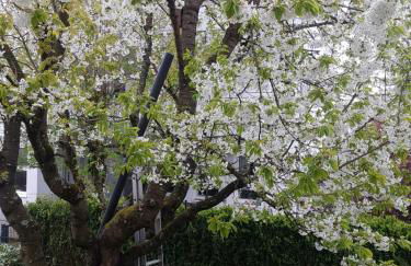 Fildorama 4-Zimmerwohnung 81 m2 Nähe Stuttgart Airport Messe, Esslingen, Stadtbahn U7 - Foto 34