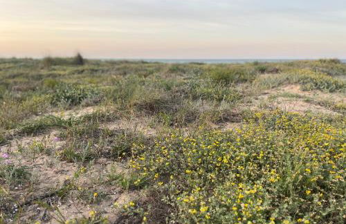 Lugar junto al mar - Foto 5