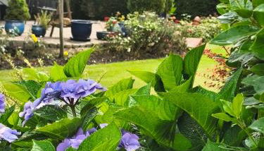 Haus Wolfgang - Foto 4, Garden