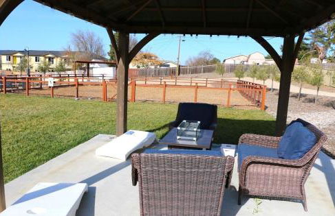 Emerald Oasis Cozy Living with Pet Park - Foto 12