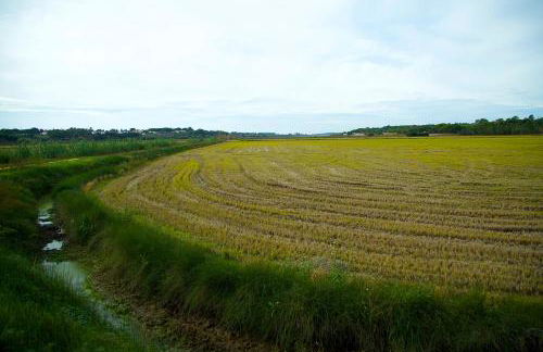 Casinha da Aldeia - Foto 42