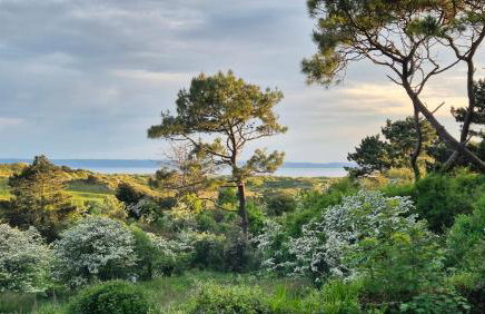 Surf - Holiday Home at Saunton - Foto 19