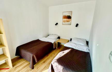 Domki Pasieka Domek D - Foto 21