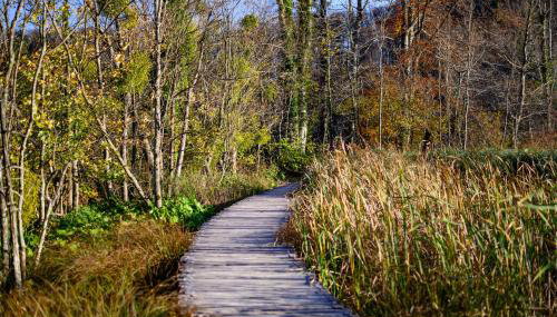 Apartment Goran - Foto 5