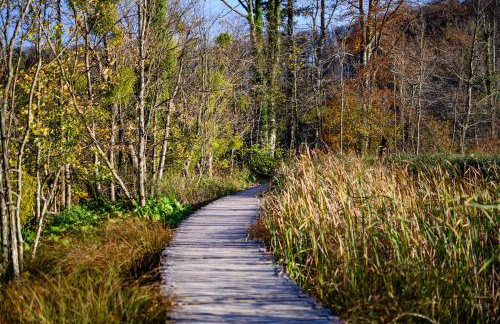 Apartment Goran - Foto 5