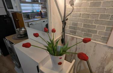 Alicante Postiguet Studios - Photo 74