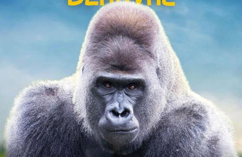 Gîte familial 12 pers. proche Valençay, ZooParc de Beauval et Châteaux de la Loire, parc arboré et jeux - FR-1-591-113 - Foto 35