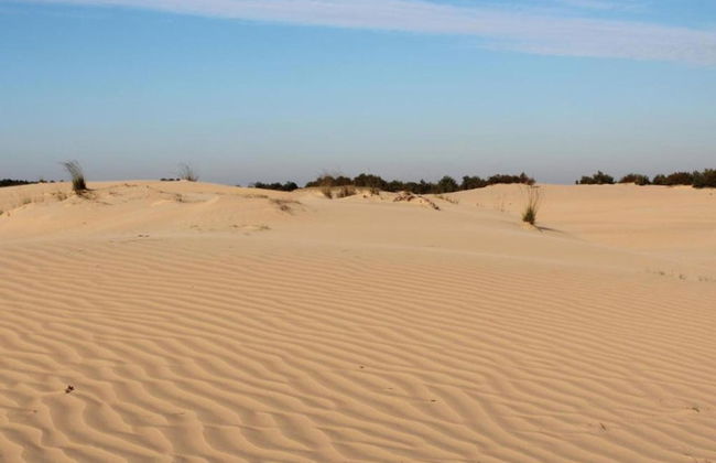 Chalet Near Loonse and Drunense Duinen - Photo 28