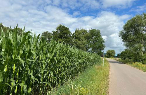 KOMFORT FerienWohnung NeuBau Merzig - Foto 31