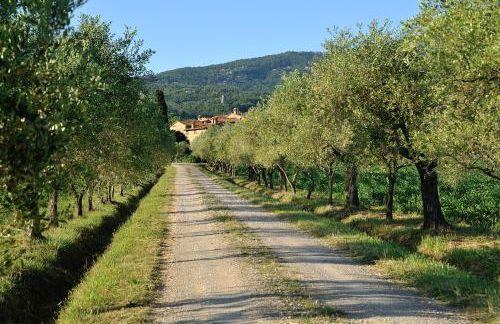 La Fattoria del Rio di Sopra - Agriturismo Baldeschi - Foto 36