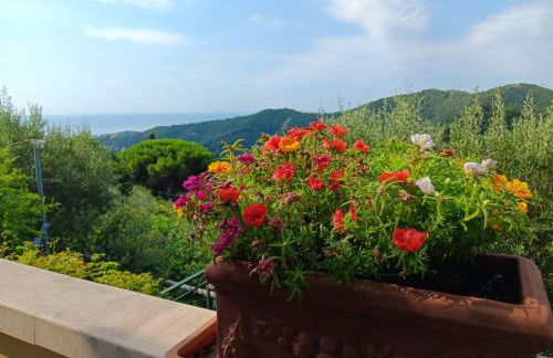 TraMonti e Mare, vista mare giardino, la casa che in ogni stagione si trasforma! - Foto 35