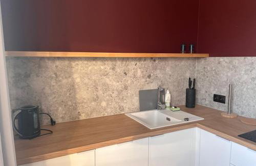 Apartamenty Skórzewo-Lotnisko MTP Tor Poznań - Foto 56