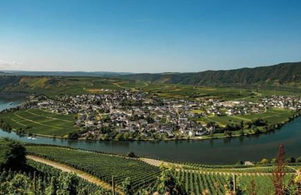 familienfreundliche Ferienwohnung Weingarten in Piesport - Foto 16