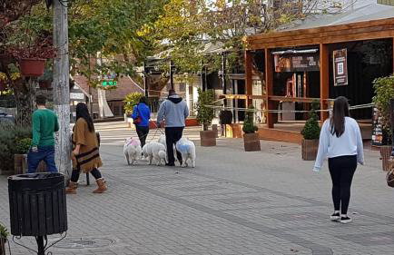 Condessa de Bonneval em Campos do Jordão - Foto 63