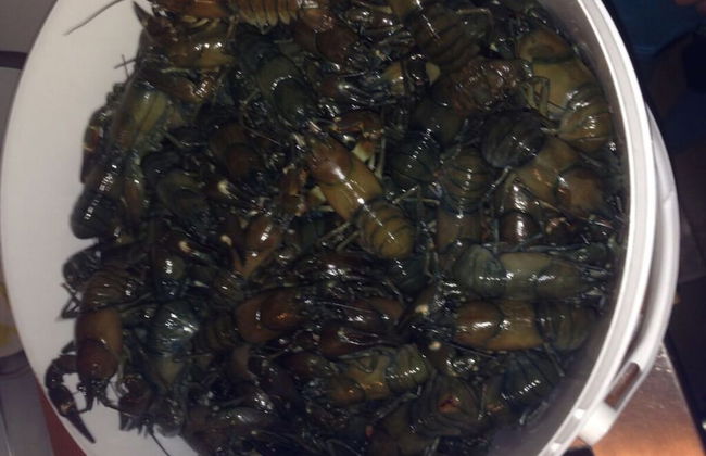 Holiday Home Hus Rusken - Foto 17