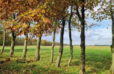 Ferienwohnung Sort Sol Grellsbülldeich 7 - Foto 46