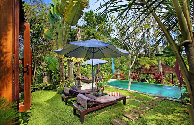 The Mahogany Villa - Foto 60