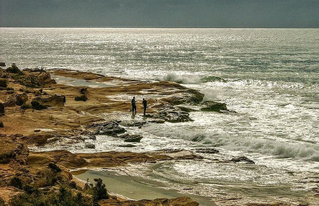 Points forts et joyaux cachés d'Alicante - Photo 8