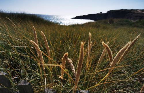 L'Auberge Du Roch - Foto 55
